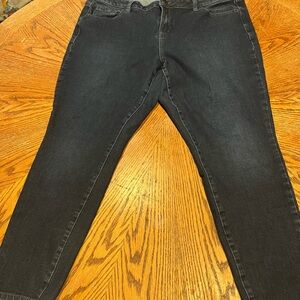 Lane Bryant Dark Wash Skinny Jeans for Women
